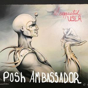 I have been chosen by Poshmark as a suggested user